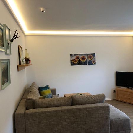 Harzquerbahnblick Apartment Benneckenstein Bagian luar foto