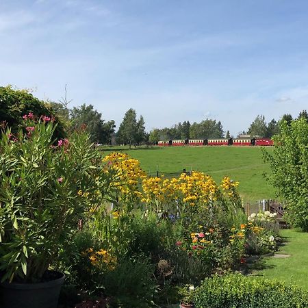 Harzquerbahnblick Apartment Benneckenstein Bagian luar foto