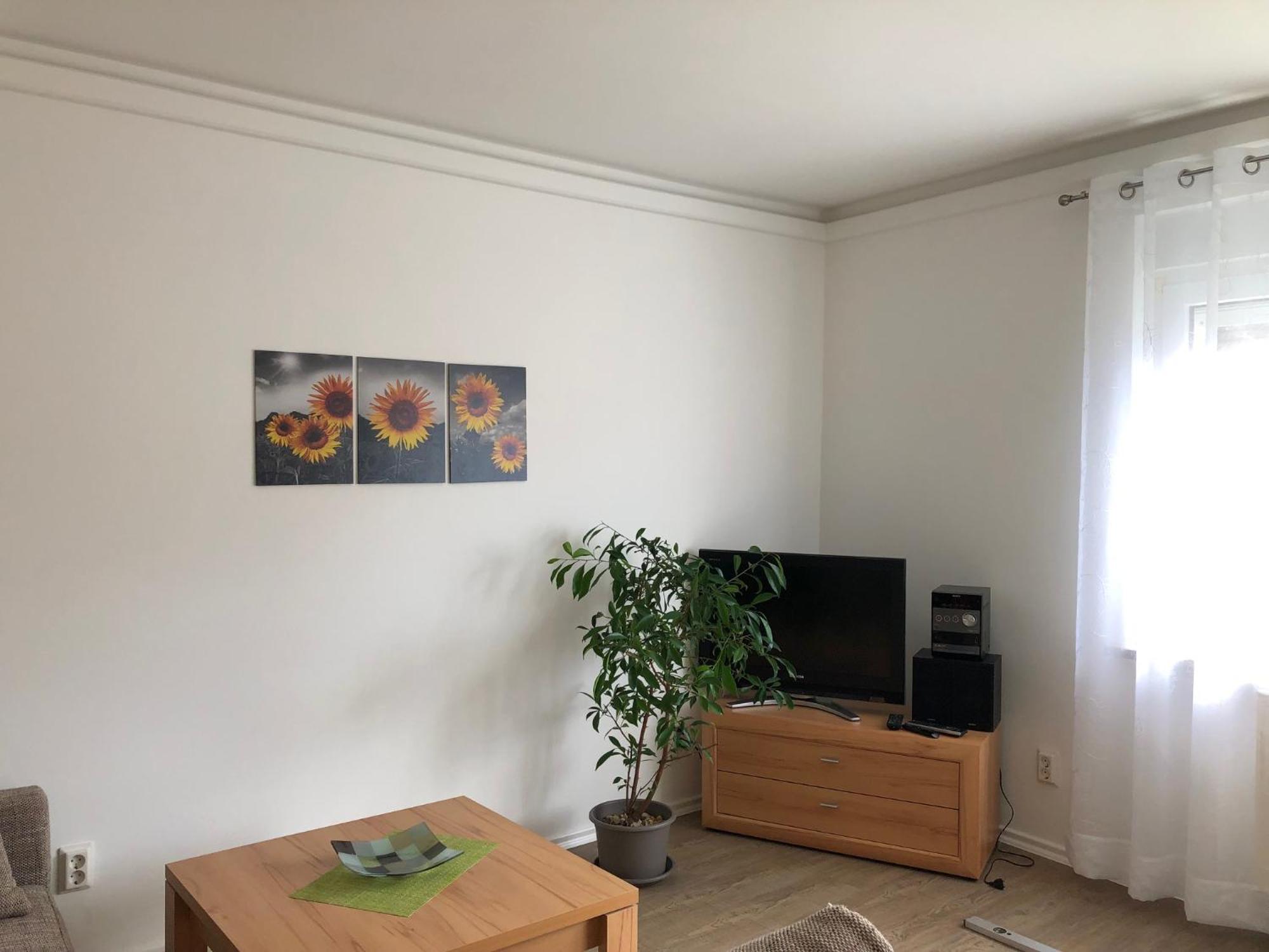 Harzquerbahnblick Apartment Benneckenstein Bagian luar foto